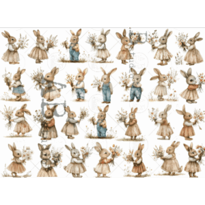 ABStudio 0259 A4