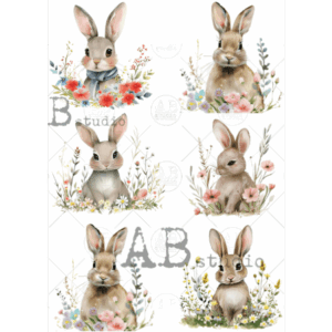 ABStudio 0278 A4
