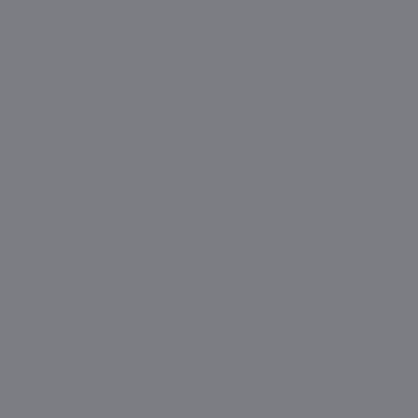 Échantillon couleur Peinture Hybride Cadence H 040 Delano