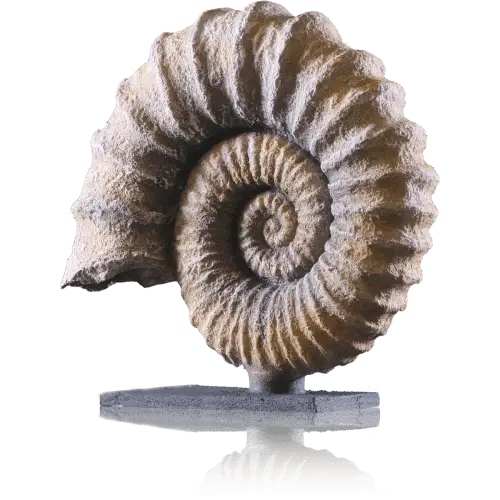 Pate Effet relief pierre Cadence photo